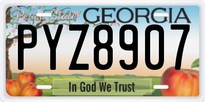 GA license plate PYZ8907
