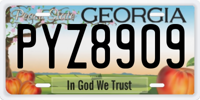 GA license plate PYZ8909