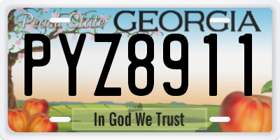 GA license plate PYZ8911