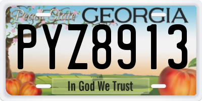 GA license plate PYZ8913