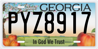 GA license plate PYZ8917