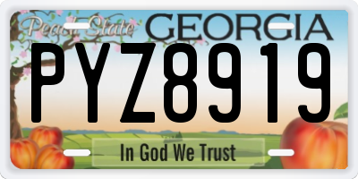 GA license plate PYZ8919