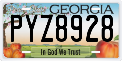 GA license plate PYZ8928