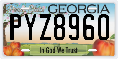 GA license plate PYZ8960