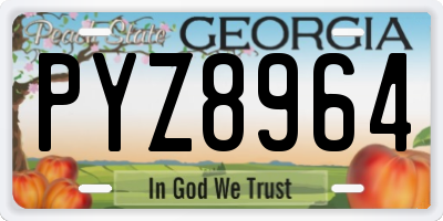 GA license plate PYZ8964