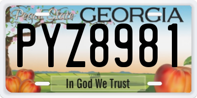 GA license plate PYZ8981