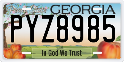 GA license plate PYZ8985