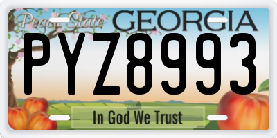 GA license plate PYZ8993