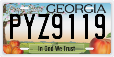 GA license plate PYZ9119