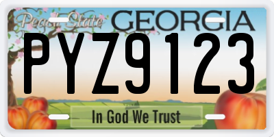GA license plate PYZ9123