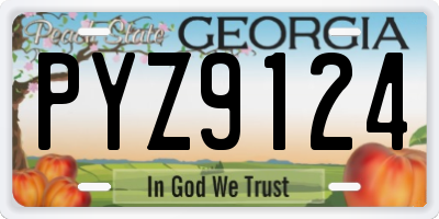 GA license plate PYZ9124
