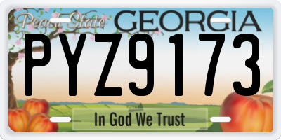 GA license plate PYZ9173