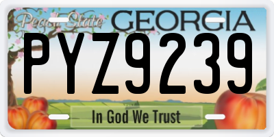 GA license plate PYZ9239