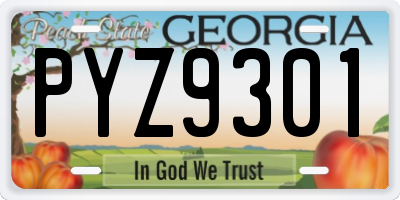 GA license plate PYZ9301