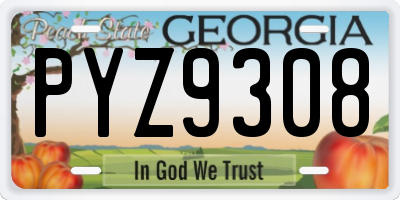 GA license plate PYZ9308