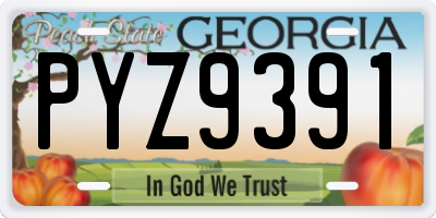 GA license plate PYZ9391