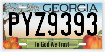 GA license plate PYZ9393