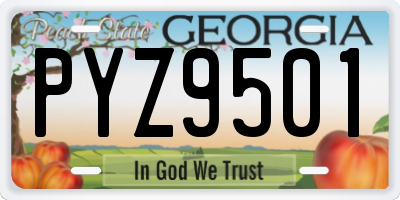 GA license plate PYZ9501