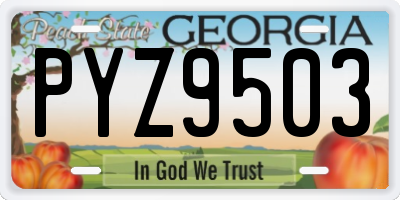GA license plate PYZ9503