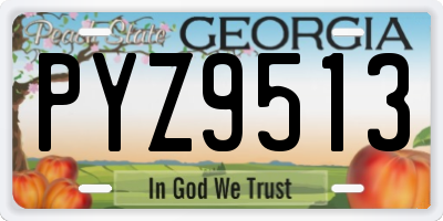 GA license plate PYZ9513