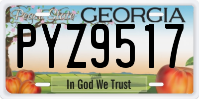GA license plate PYZ9517