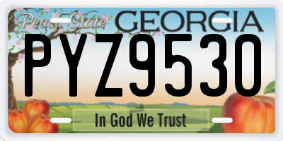 GA license plate PYZ9530