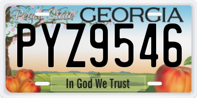 GA license plate PYZ9546