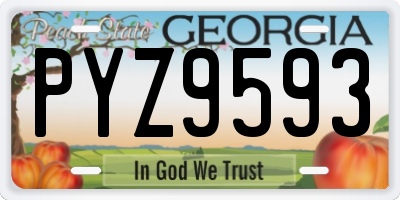 GA license plate PYZ9593