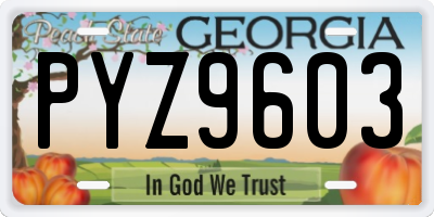 GA license plate PYZ9603