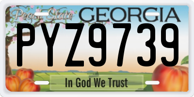 GA license plate PYZ9739