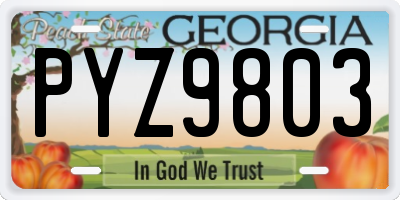 GA license plate PYZ9803