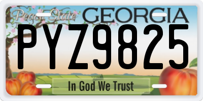 GA license plate PYZ9825