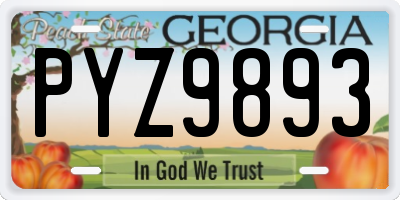 GA license plate PYZ9893