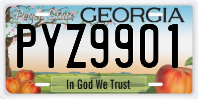 GA license plate PYZ9901
