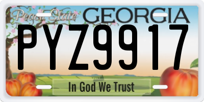 GA license plate PYZ9917
