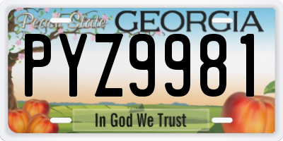 GA license plate PYZ9981
