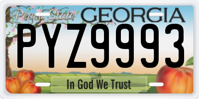 GA license plate PYZ9993