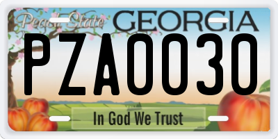 GA license plate PZA0030