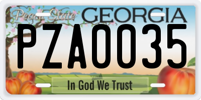 GA license plate PZA0035