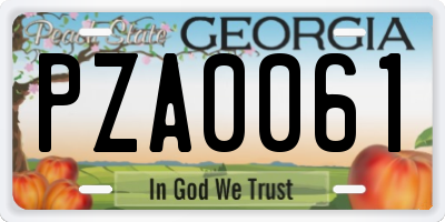 GA license plate PZA0061