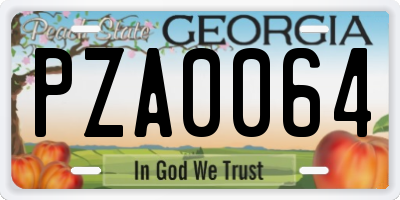 GA license plate PZA0064