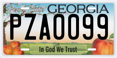 GA license plate PZA0099