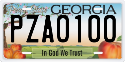 GA license plate PZA0100