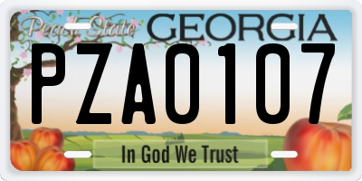 GA license plate PZA0107