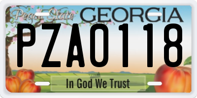 GA license plate PZA0118