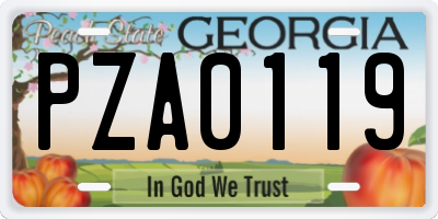 GA license plate PZA0119