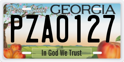 GA license plate PZA0127