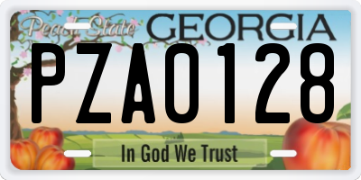 GA license plate PZA0128