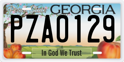 GA license plate PZA0129