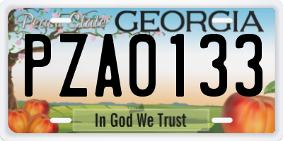 GA license plate PZA0133